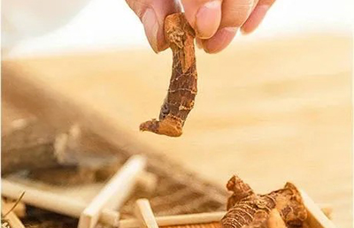 夏日三伏，教你如何科學(xué)養(yǎng)生，飲食指南讓你健康又消暑…